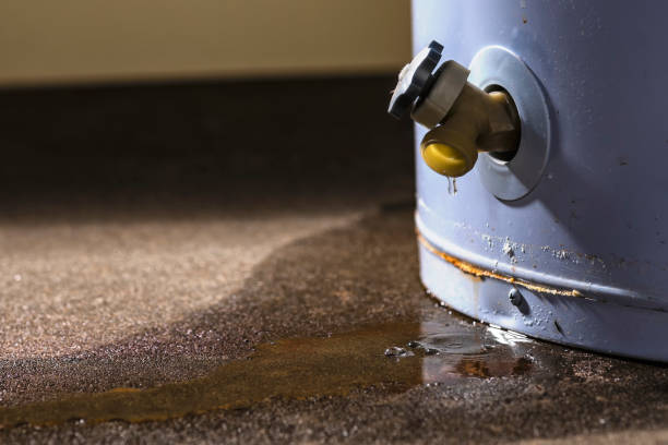 Best Water damage restoration company  in Pomona, NJ