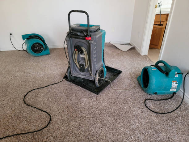 Reliable Pomona, NJ Water damage restoration Solutions
