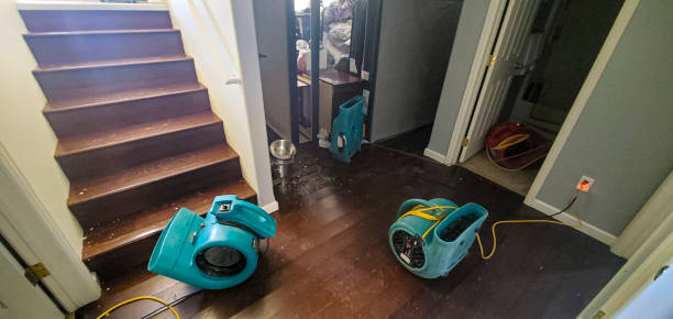 Best Local water damage restoration  in Pomona, NJ