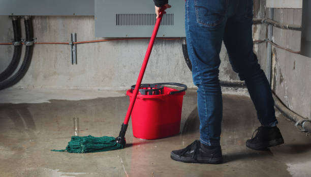 Best Water damage repair service  in Pomona, NJ