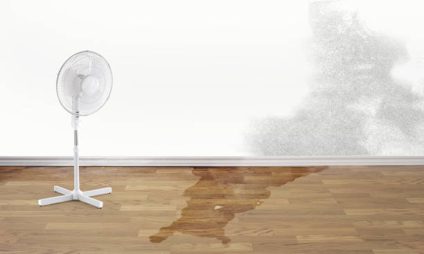 Best Flood restoration services  in Pomona, NJ