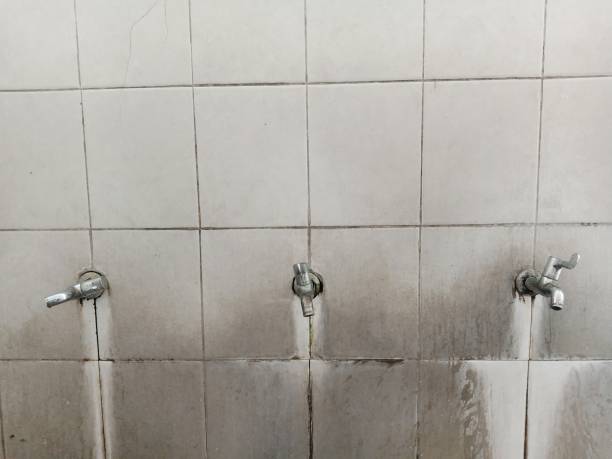 Best Fire Damage Restoration  in Pomona, NJ
