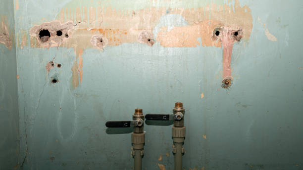 Best Flood damage cleanup  in Pomona, NJ