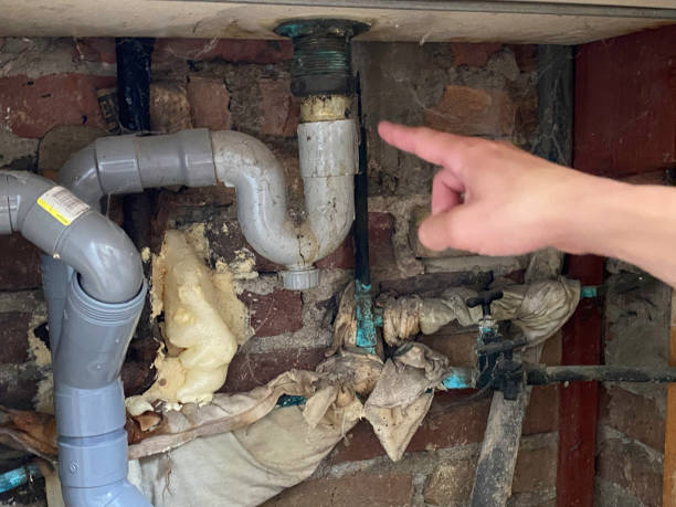 Best Mold removal after water damage  in Pomona, NJ