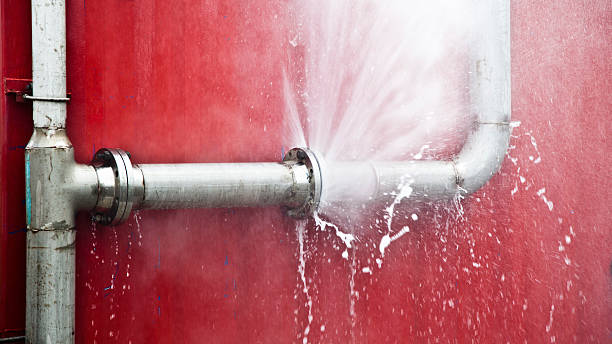 Best Flooded house restoration  in Pomona, NJ